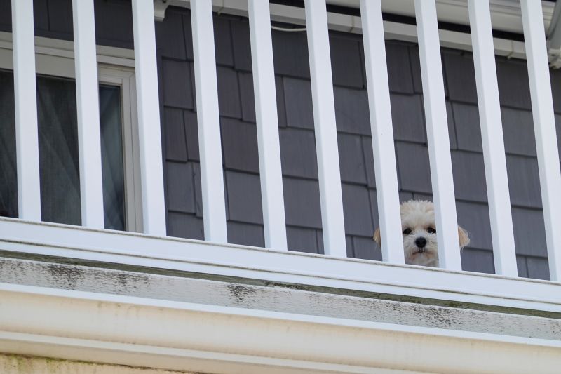 Metal Railing Replacement